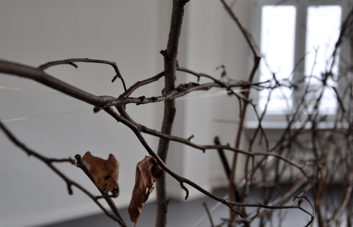 Giulia Berra Installation „The Wall“