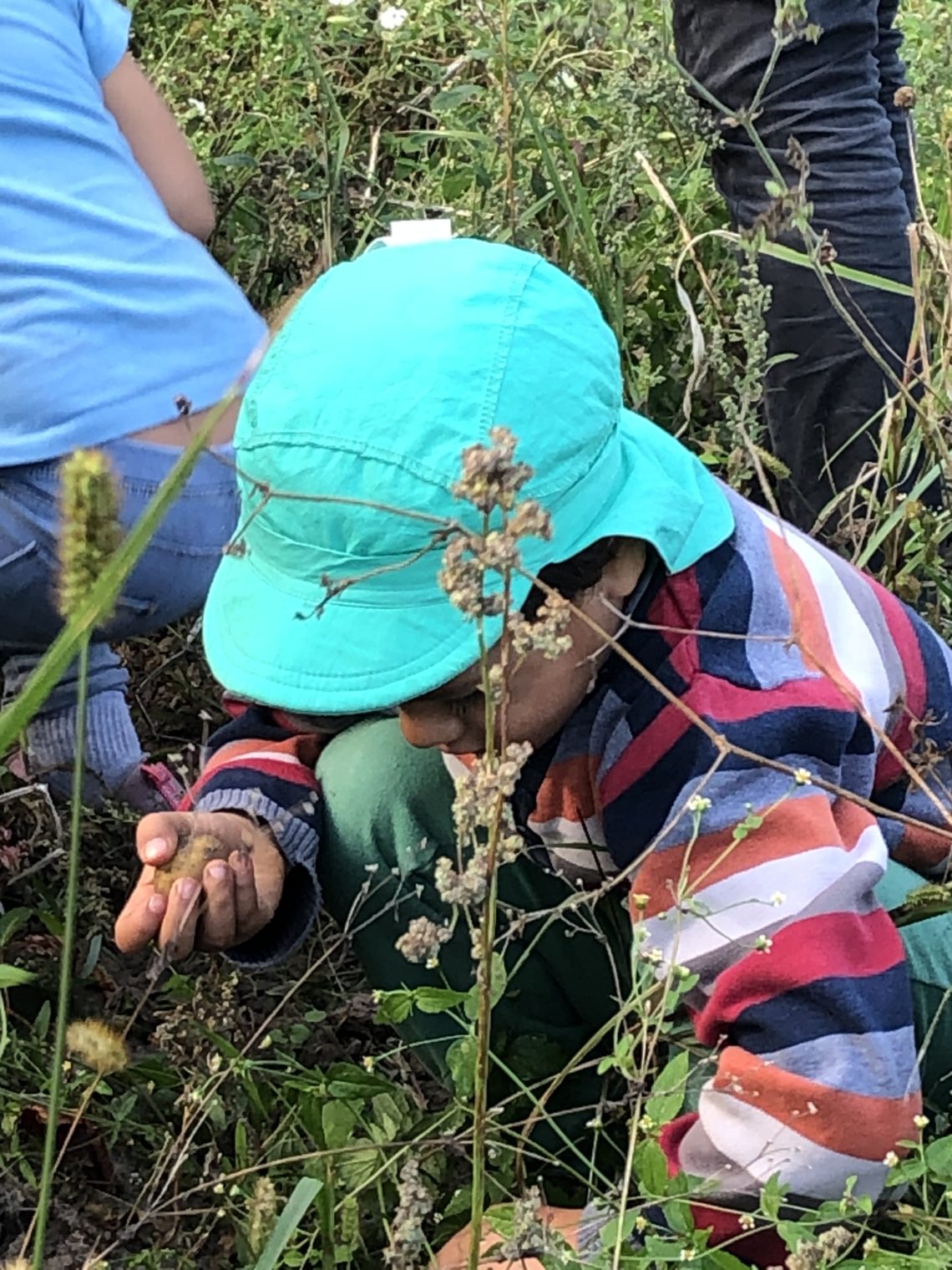 Kinder auf dem Feld