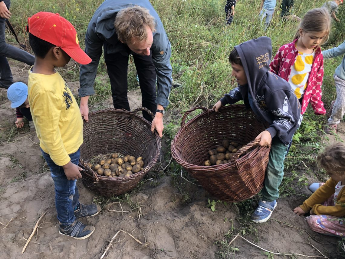Kinder Kartoffelernte Sarah Wiener