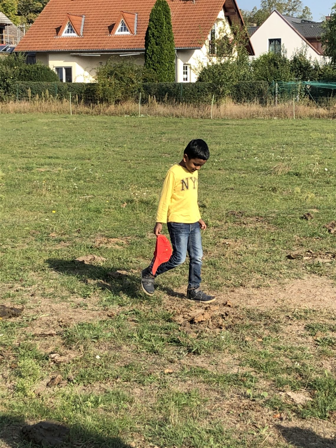 Kind auf Kuhwiese